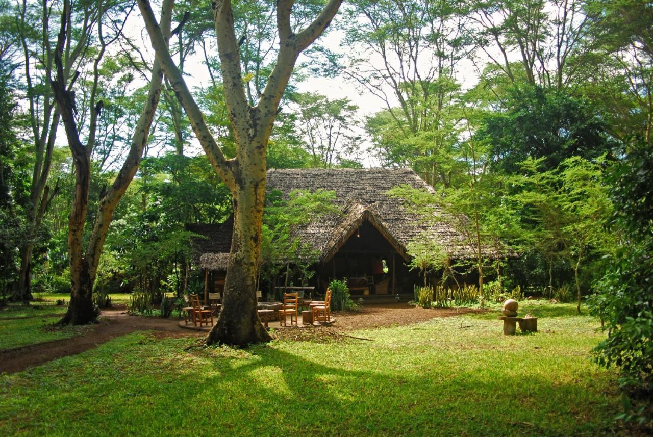 Migunga Tented Camp Mto wa Mbu Εξωτερικό φωτογραφία